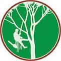 Dinah Tree Service Boulder